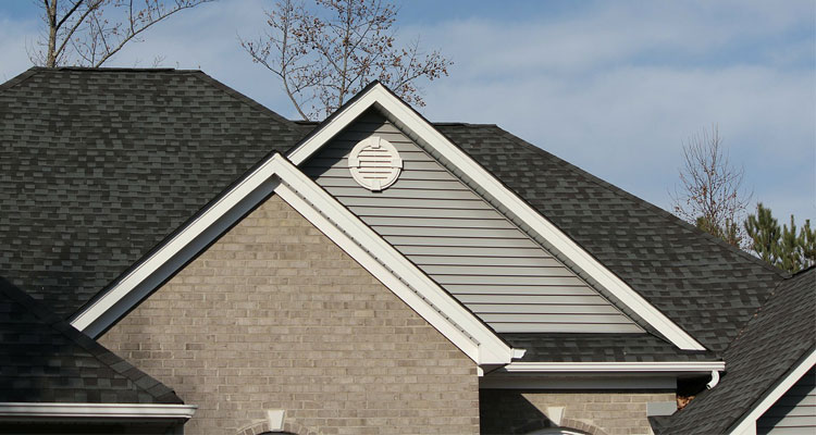 Roof Line and gutters