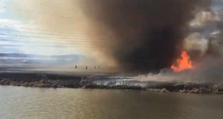 Shocking video from the St. Albert fire department shows just how dangerous a brush fire became last week. (Image Courtesy of CBC News) 