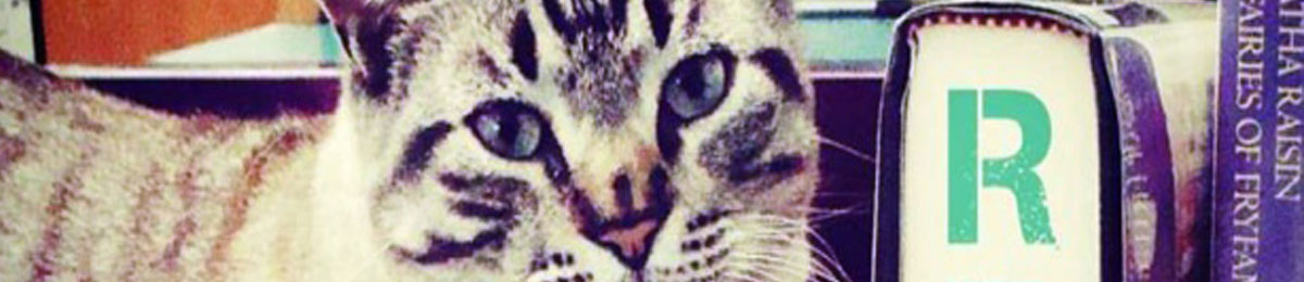 cat-feline-texas