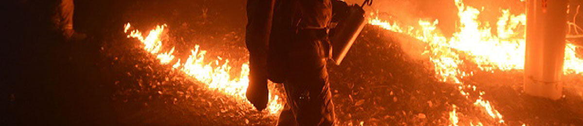 Image Courtesy of Noah Berger/Reuters