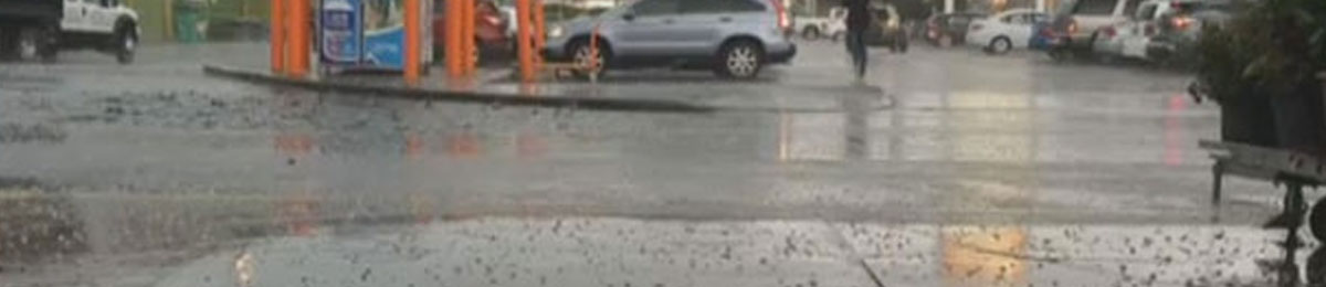 Image Courtesy of CTV News 