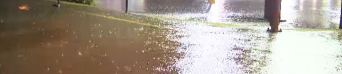 Image Courtesy of CTV News 
