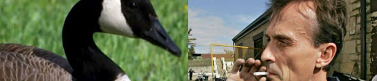 Image Courtesy of CBC, AP Photo/M Spencer Green