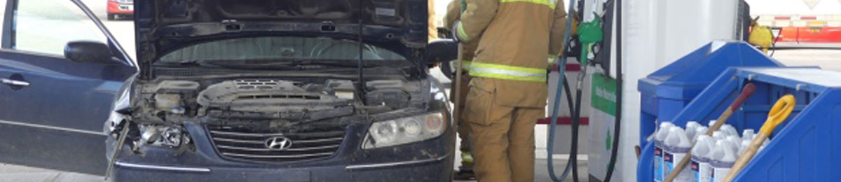 Image Courtesy of Stefani Langenegger/CBC
