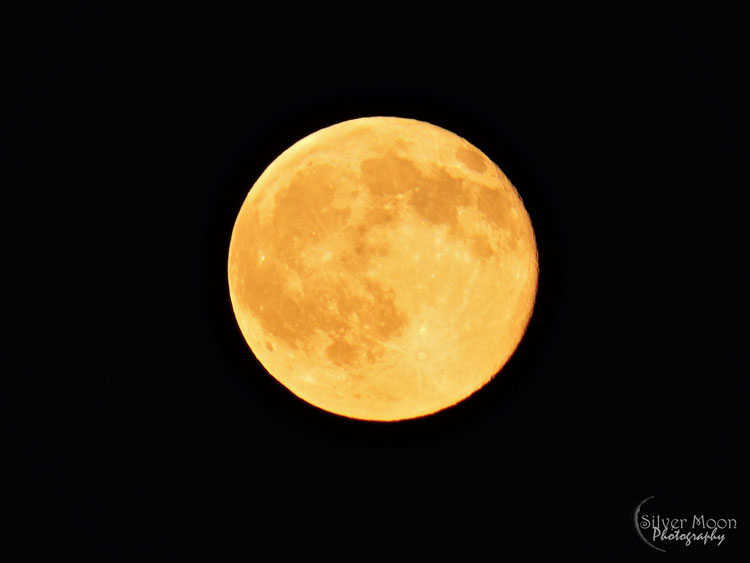 Full Moon - June 20, 2016 - Photography Courtesy of Author 