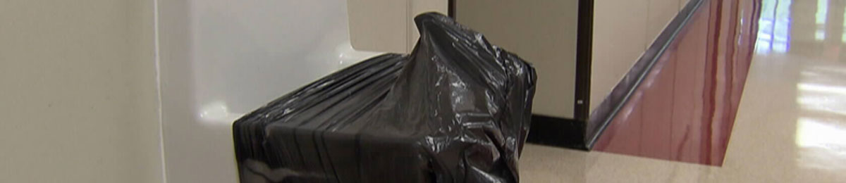Image Courtesy of CTV News 
