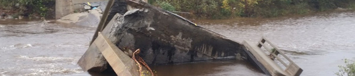 Image Courtesy of Melissa Burke/Twitter/CTV News