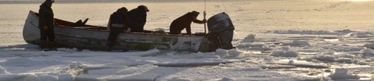Image Courtesy of Nick Murray/CBC
